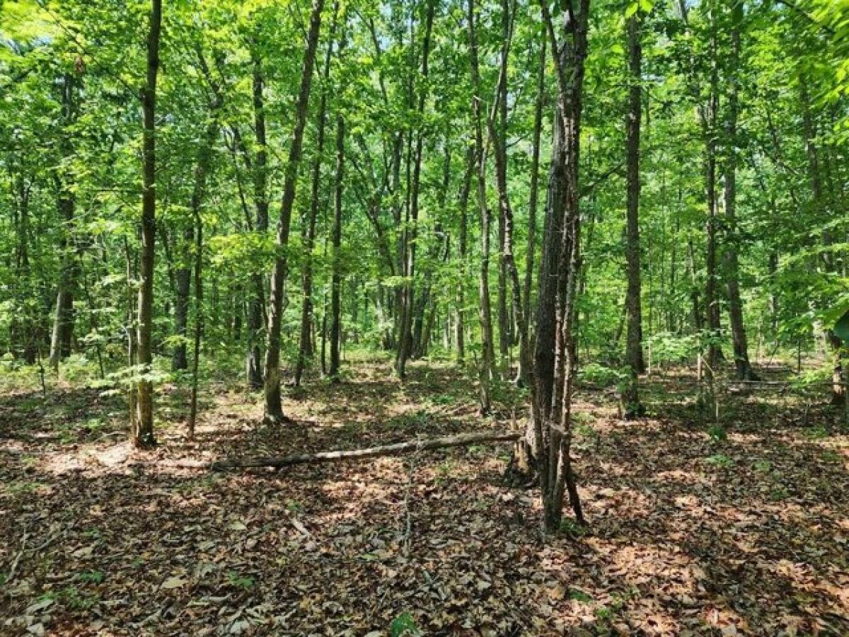 Picture of Residential Land For Sale in Pamplin, Virginia, United States