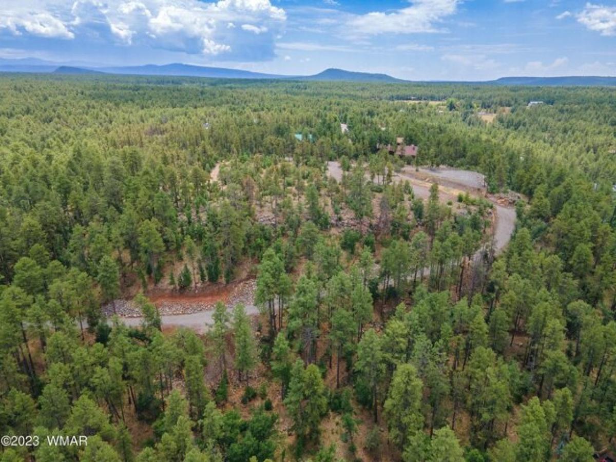 Picture of Residential Land For Sale in Pinetop, Arizona, United States