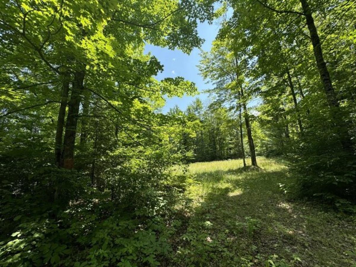 Picture of Residential Land For Sale in Mercer, Wisconsin, United States