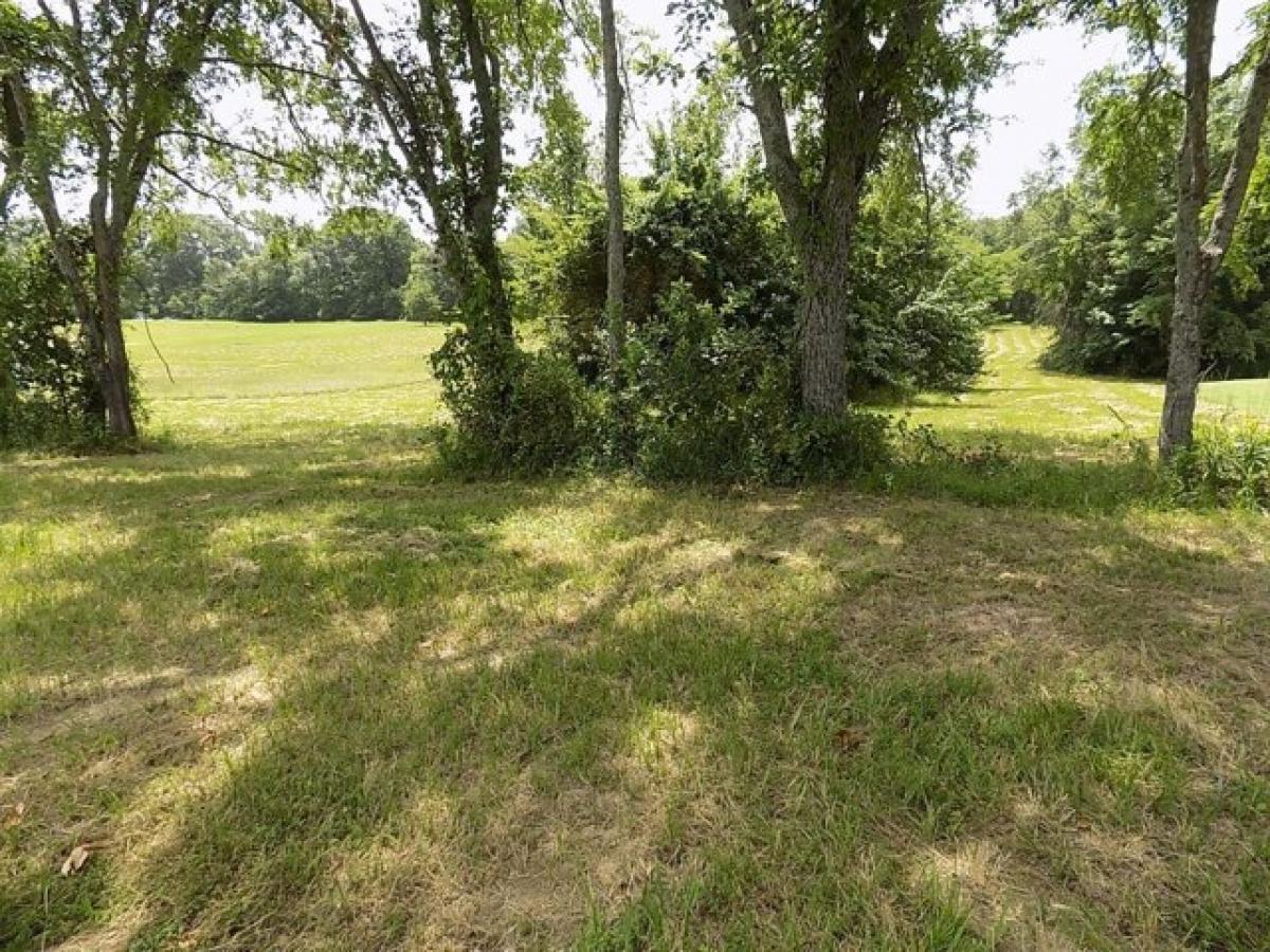 Picture of Residential Land For Sale in Quitman, Texas, United States