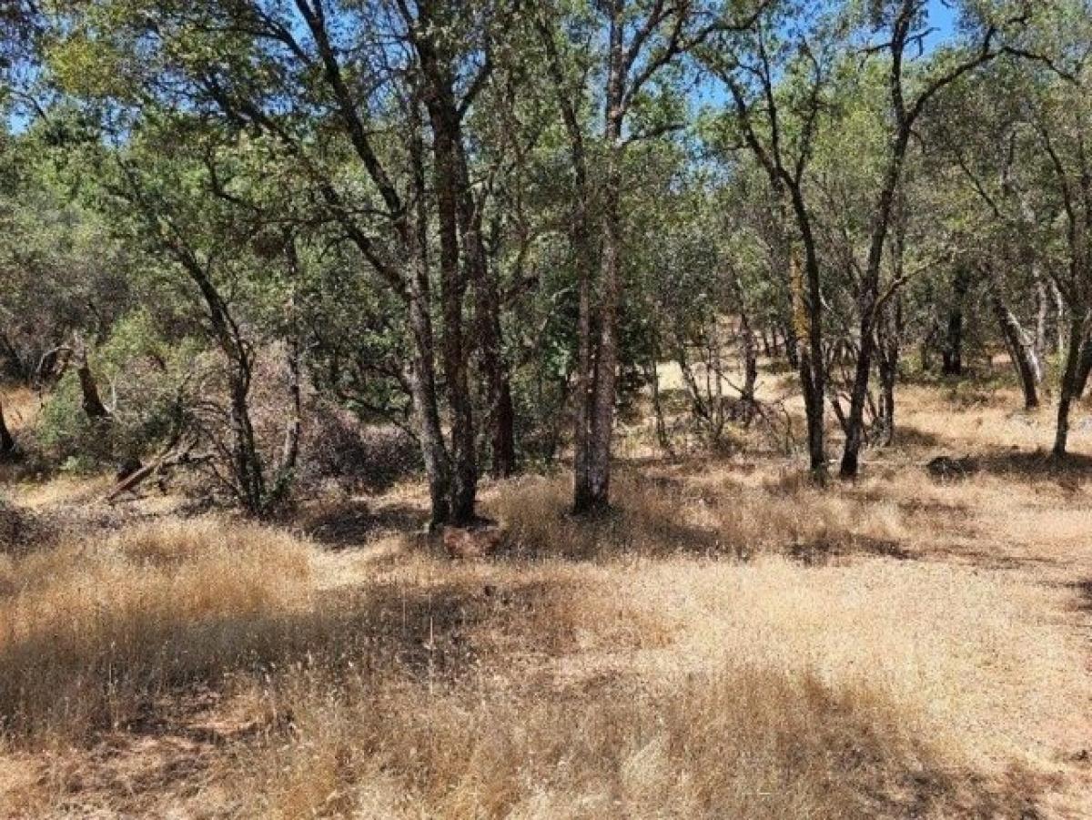 Picture of Residential Land For Sale in Grass Valley, California, United States