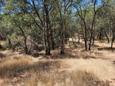 Residential Land For Sale in Grass Valley, California