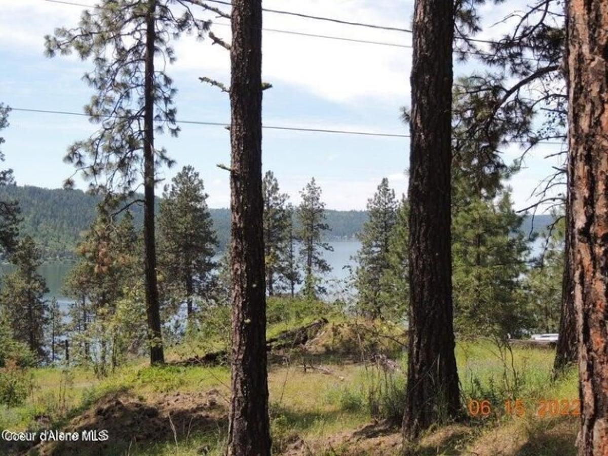 Picture of Residential Land For Sale in Harrison, Idaho, United States