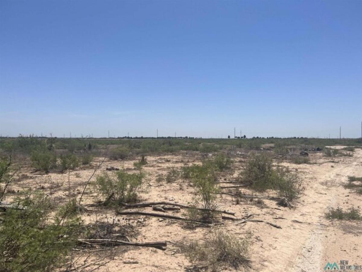 Picture of Residential Land For Sale in Artesia, New Mexico, United States