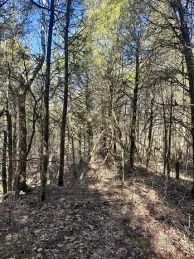 Residential Land For Sale in Booneville, Mississippi