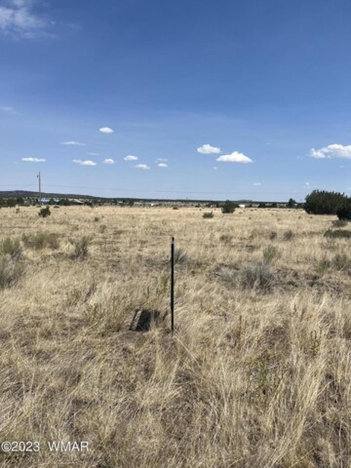 Picture of Residential Land For Sale in Nutrioso, Arizona, United States