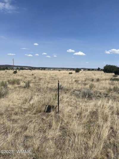 Residential Land For Sale in Nutrioso, Arizona