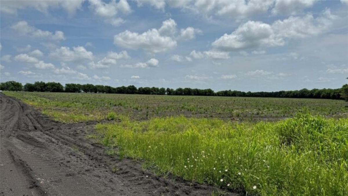 Picture of Residential Land For Sale in Pecan Gap, Texas, United States