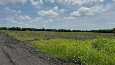 Residential Land For Sale in Pecan Gap, Texas