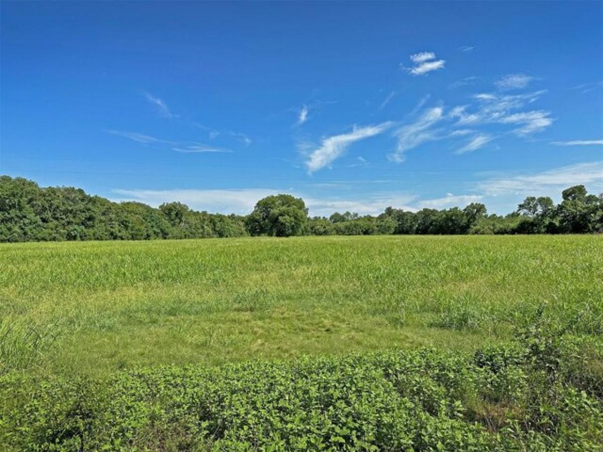 Picture of Residential Land For Sale in Brenham, Texas, United States