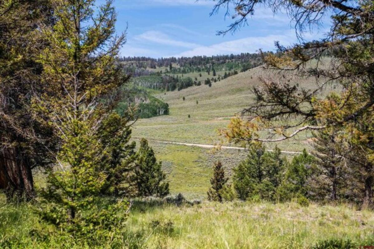 Picture of Residential Land For Sale in Powderhorn, Colorado, United States