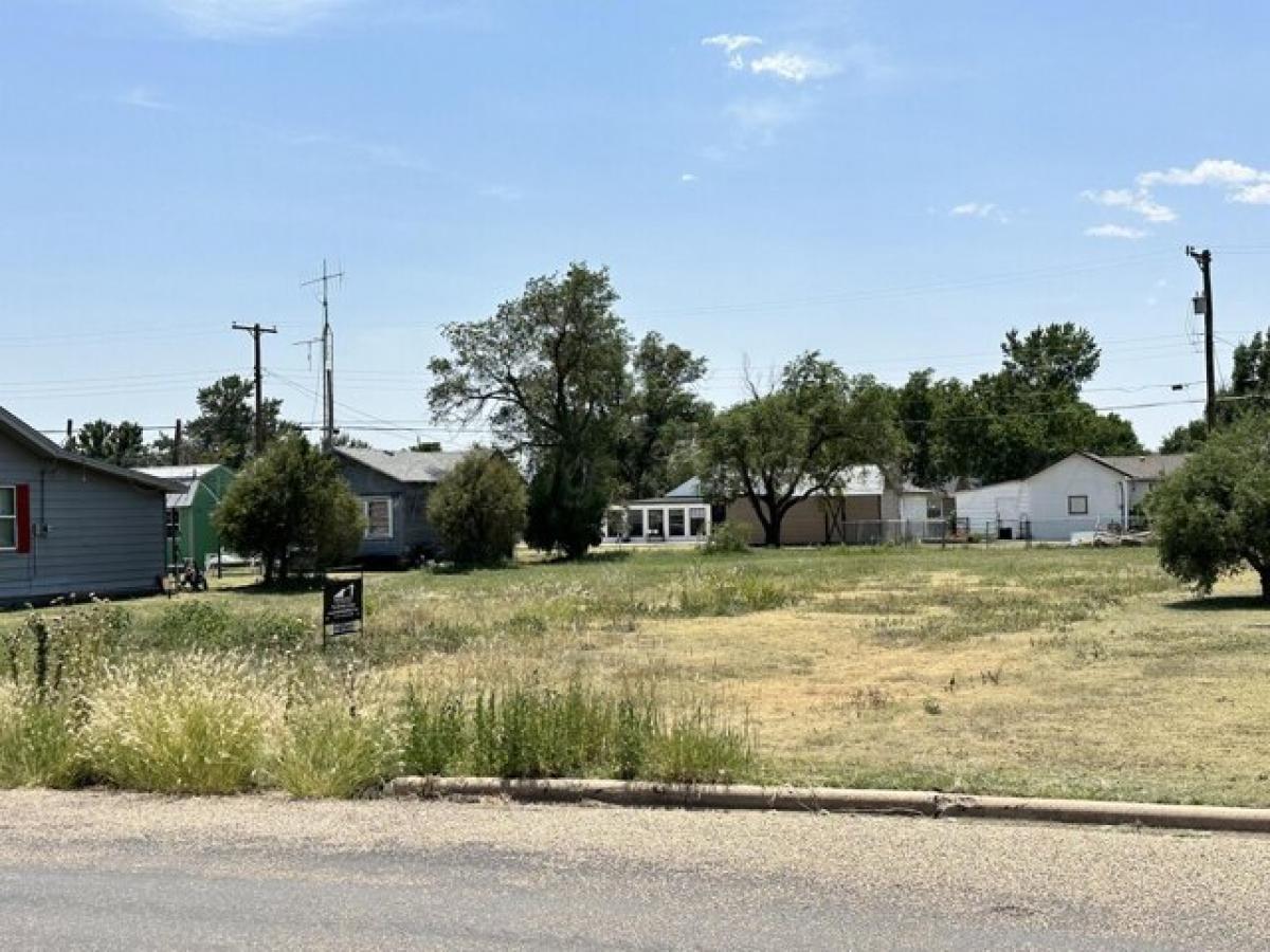 Picture of Residential Land For Sale in Panhandle, Texas, United States