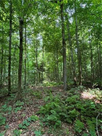 Residential Land For Sale in Chardon, Ohio