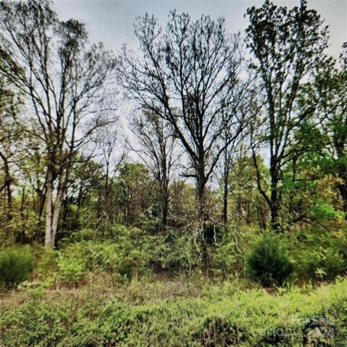 Picture of Residential Land For Sale in Peachland, North Carolina, United States