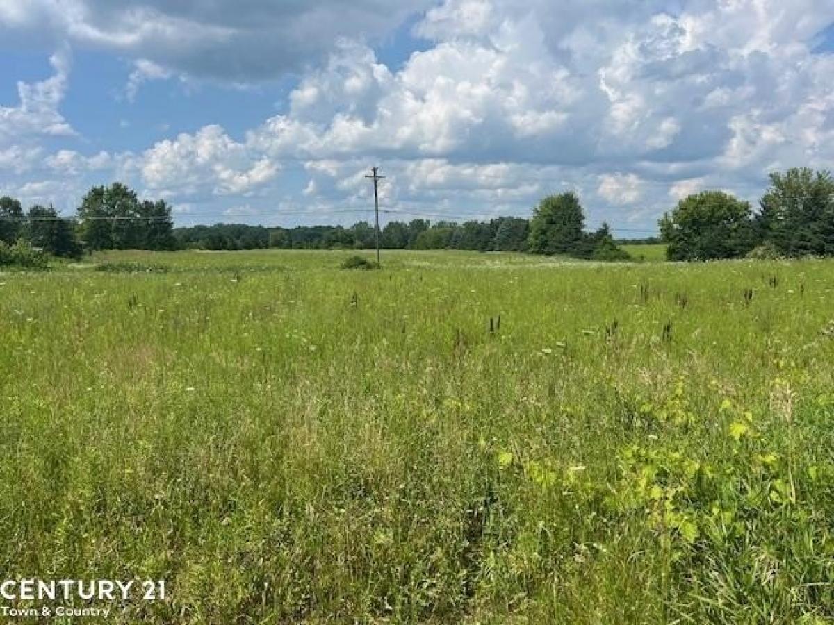 Picture of Residential Land For Sale in Almont, Michigan, United States