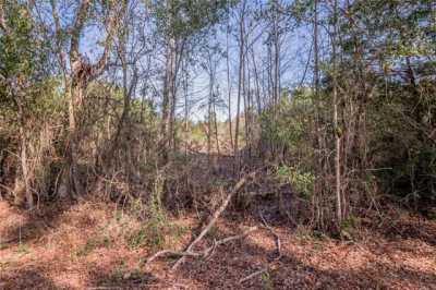 Residential Land For Sale in Groveton, Texas