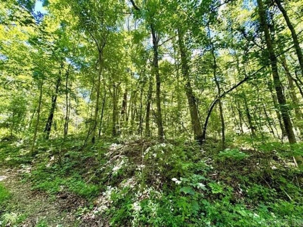 Picture of Residential Land For Sale in Clinton, Arkansas, United States