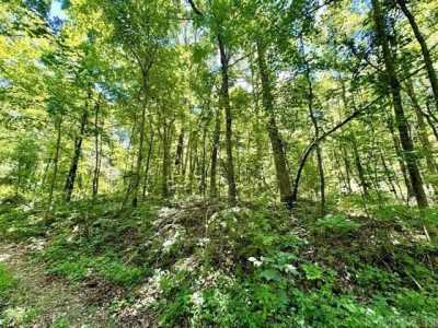 Residential Land For Sale in Clinton, Arkansas