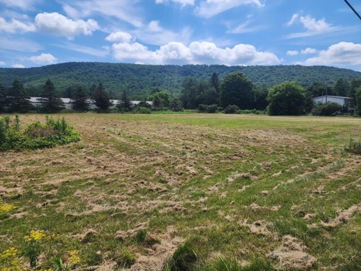 Picture of Residential Land For Sale in Beaver Dams, New York, United States