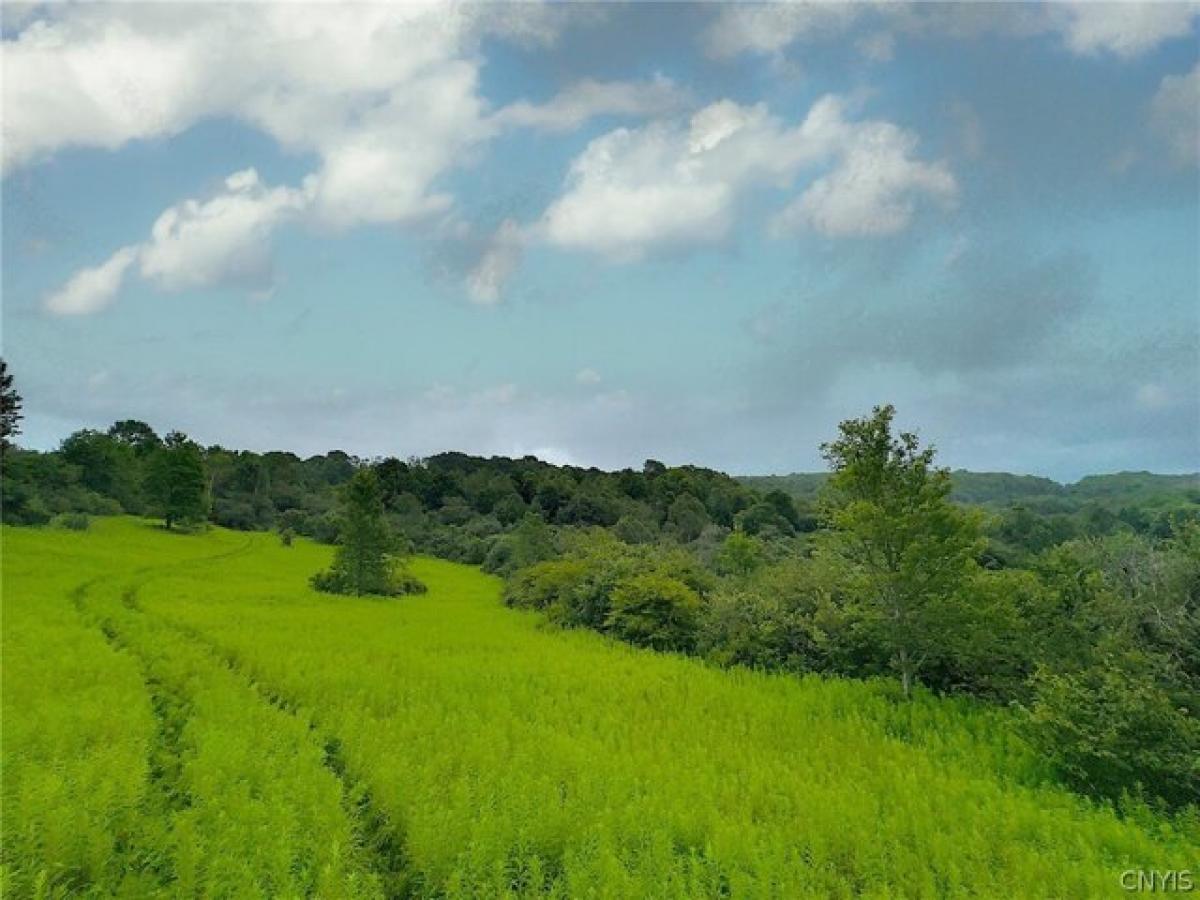 Picture of Residential Land For Sale in Bridgewater, New York, United States