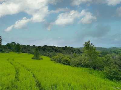 Residential Land For Sale in Bridgewater, New York