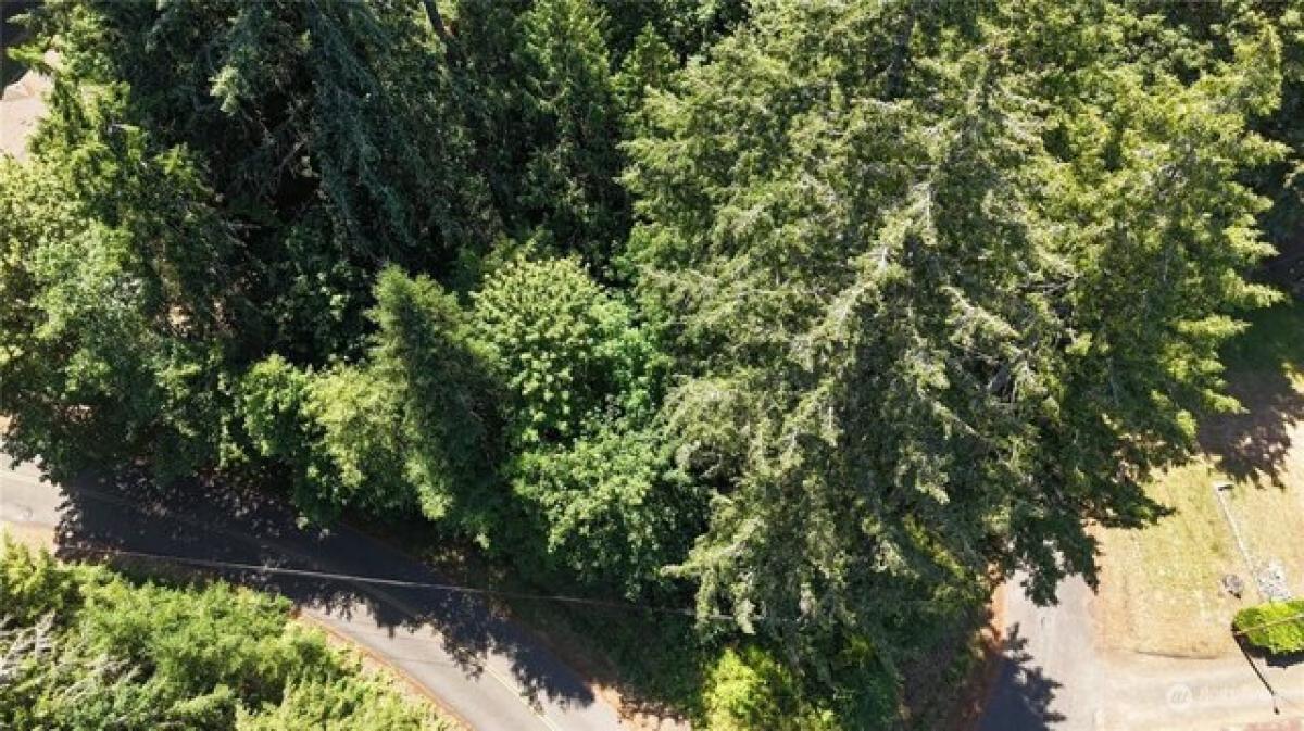 Picture of Residential Land For Sale in Shelton, Washington, United States