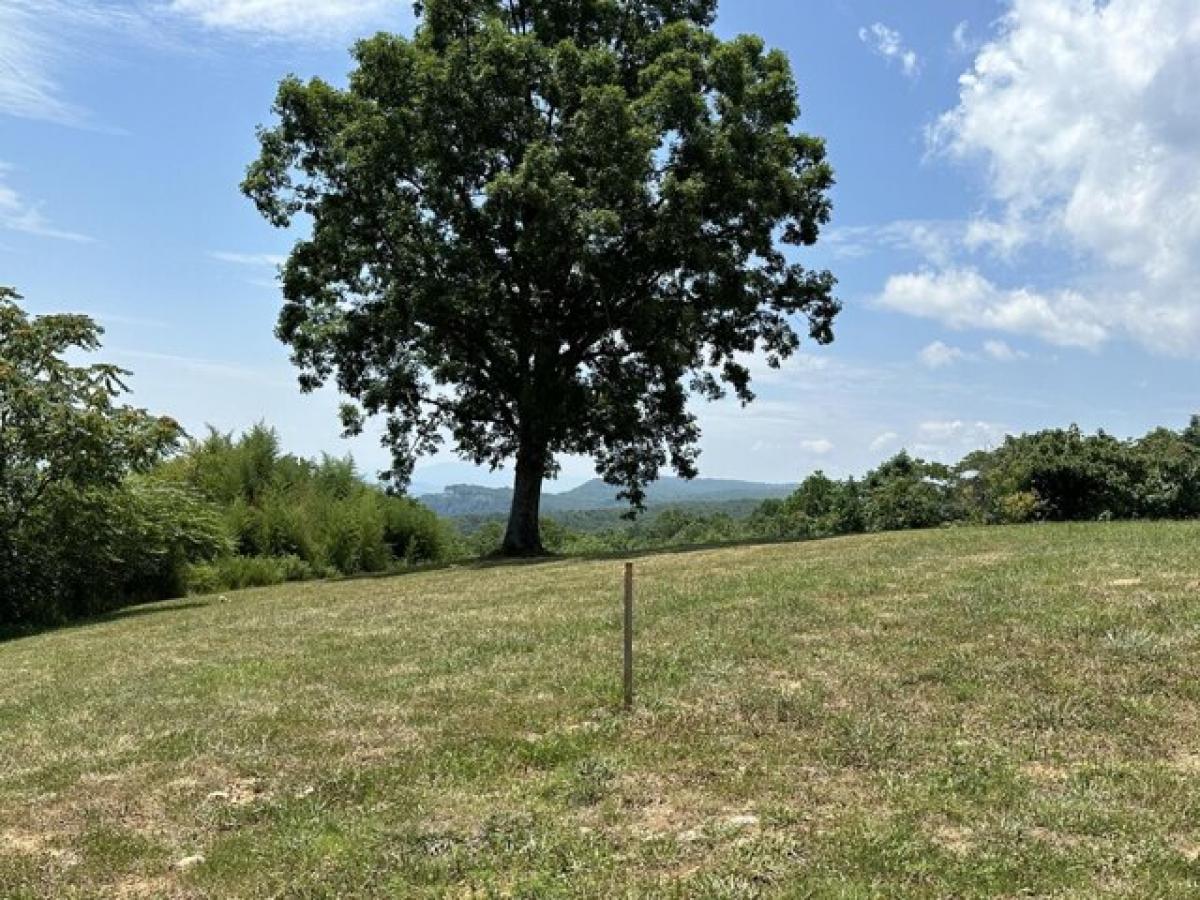 Picture of Residential Land For Sale in Signal Mountain, Tennessee, United States