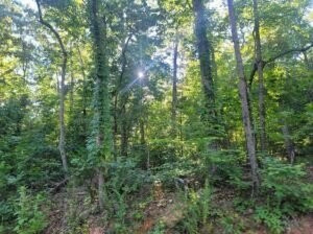 Picture of Residential Land For Sale in Spring City, Tennessee, United States