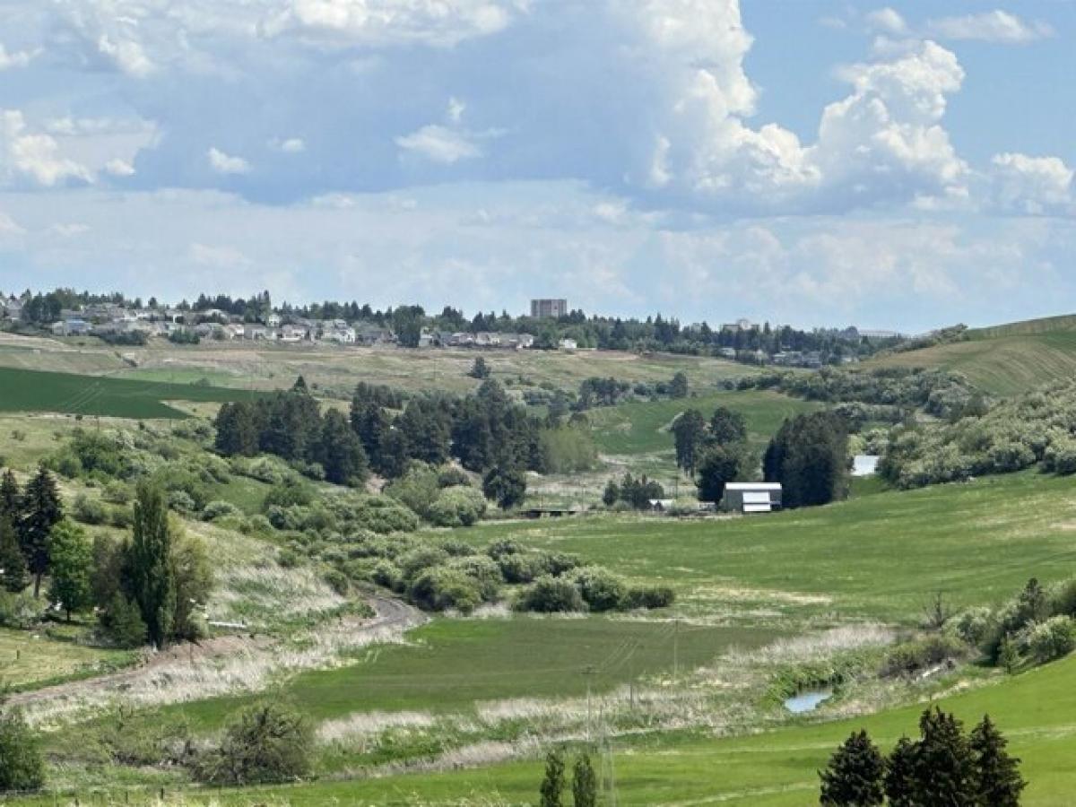 Picture of Residential Land For Sale in Pullman, Washington, United States