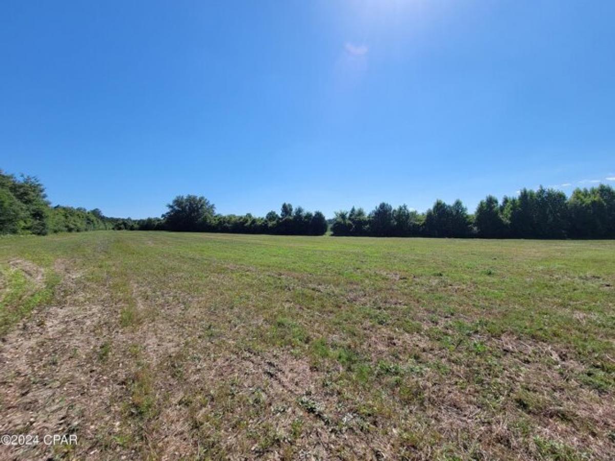 Picture of Residential Land For Sale in Westville, Florida, United States