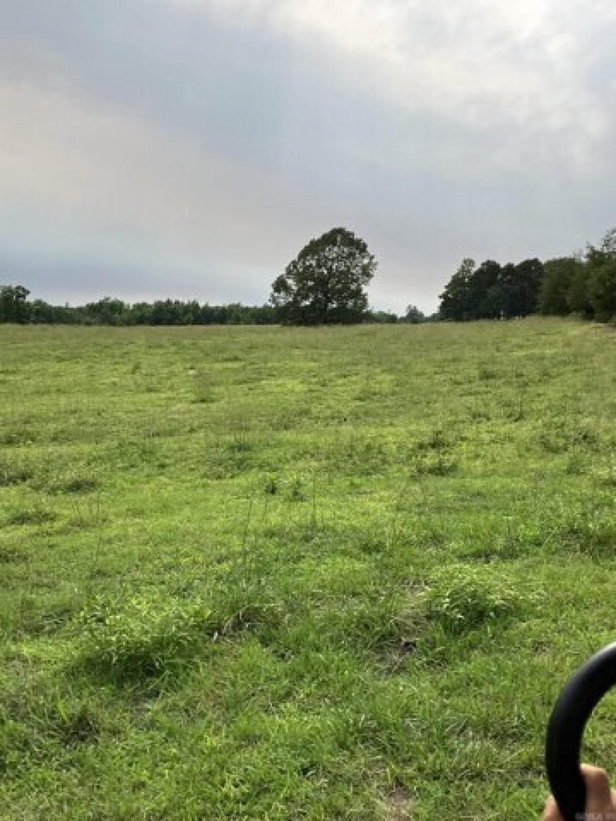 Picture of Residential Land For Sale in Cove, Arkansas, United States