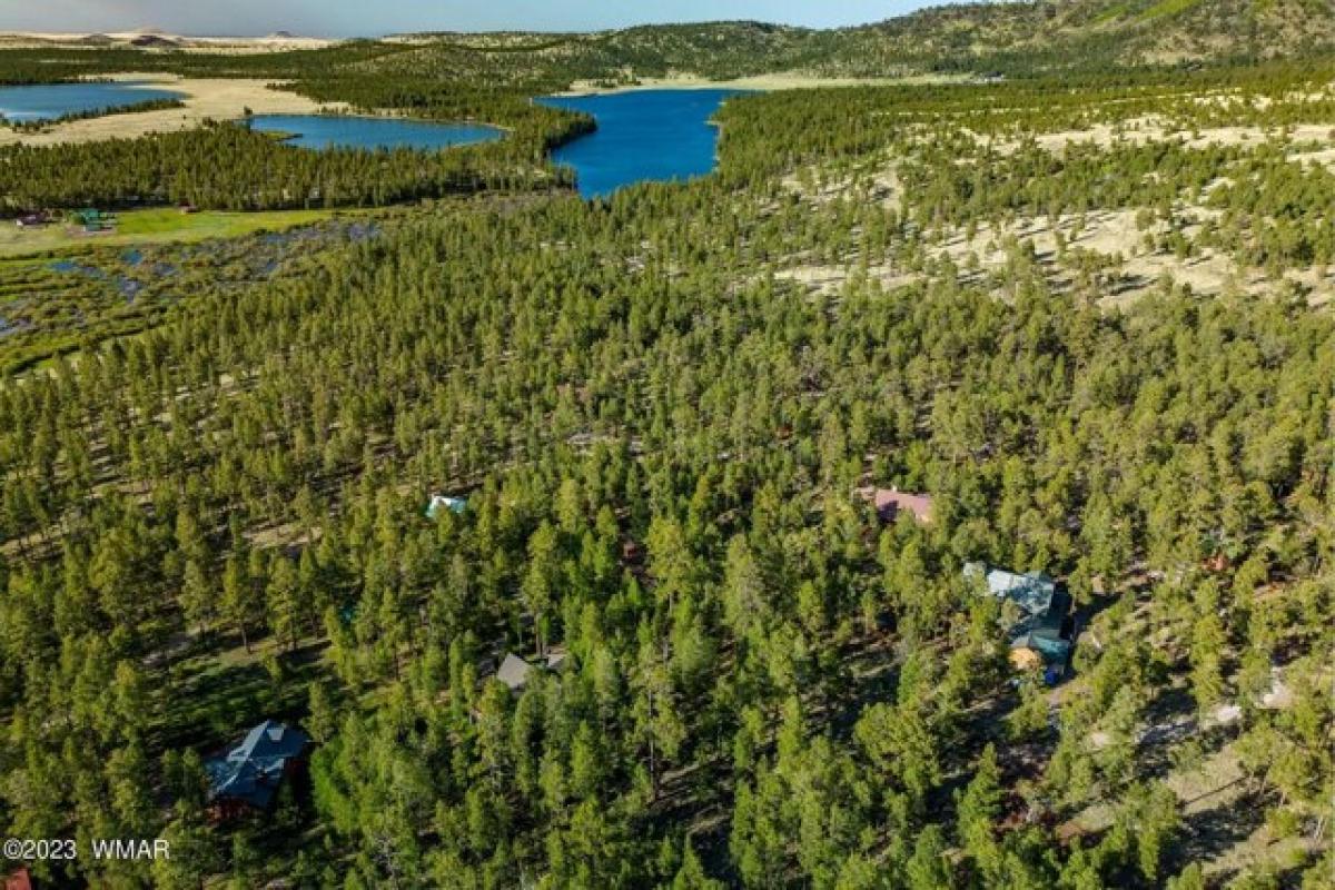 Picture of Residential Land For Sale in Greer, Arizona, United States