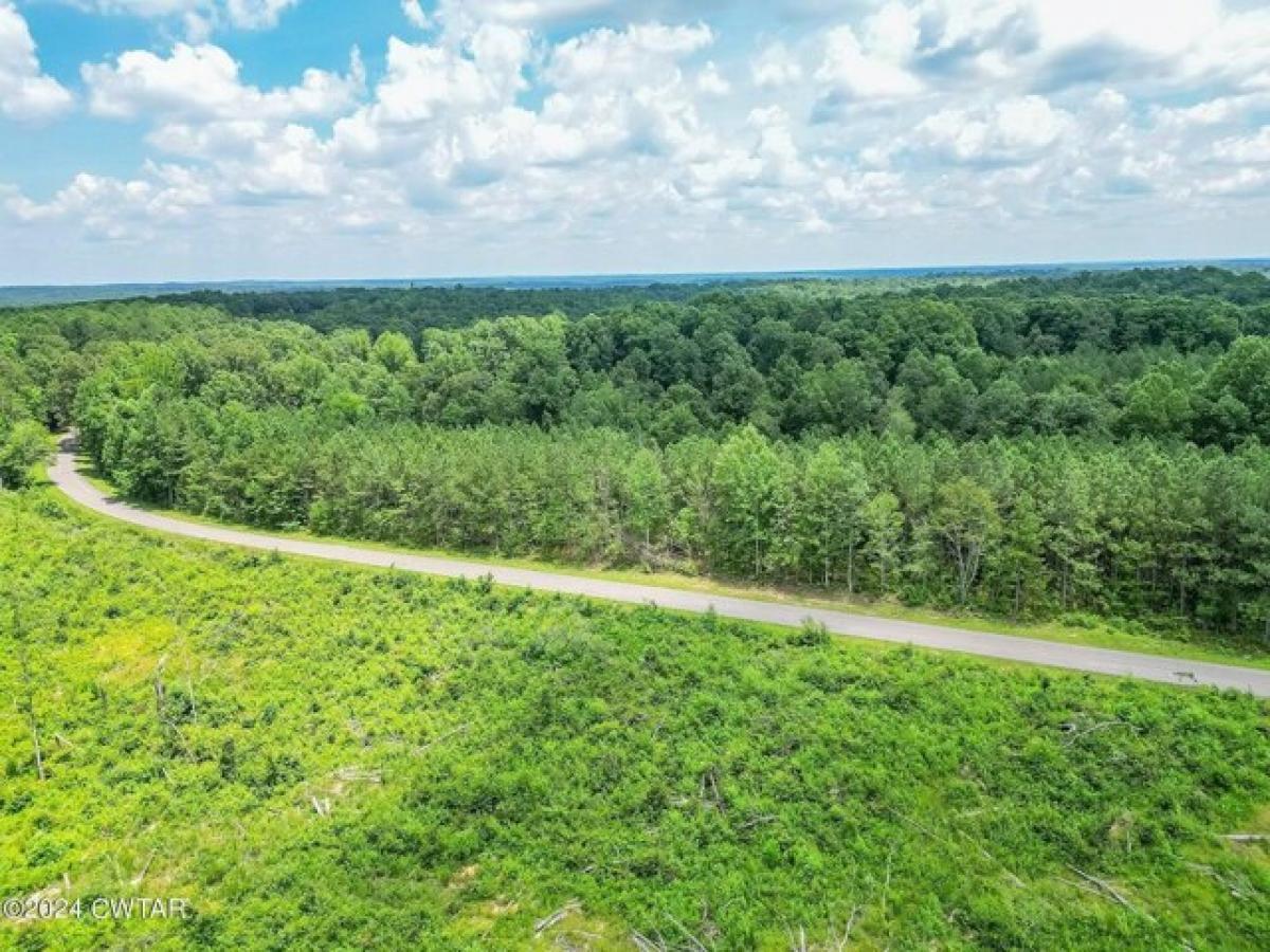 Picture of Residential Land For Sale in Wildersville, Tennessee, United States