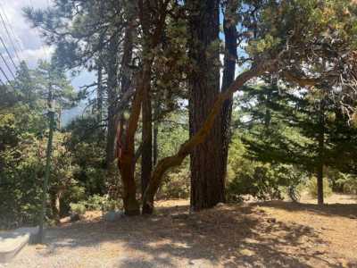 Residential Land For Sale in Idyllwild, California