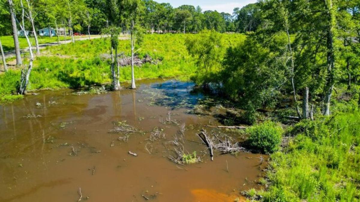 Picture of Residential Land For Sale in Purvis, Mississippi, United States