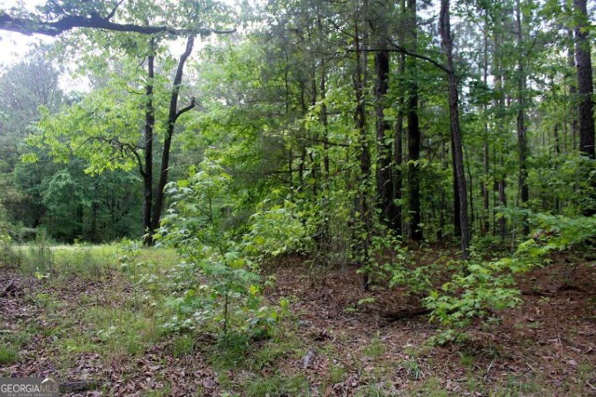 Picture of Residential Land For Sale in Newnan, Georgia, United States