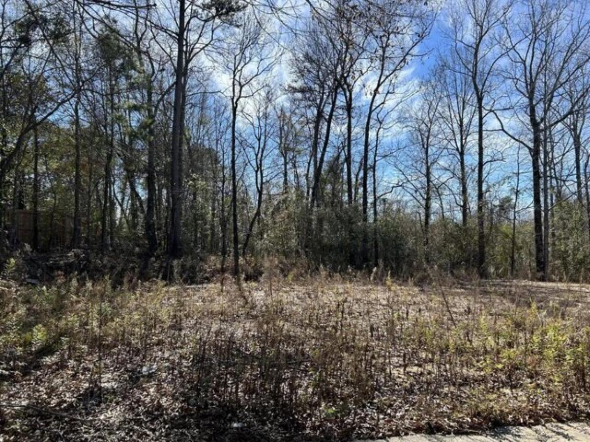 Picture of Residential Land For Sale in Hattiesburg, Mississippi, United States