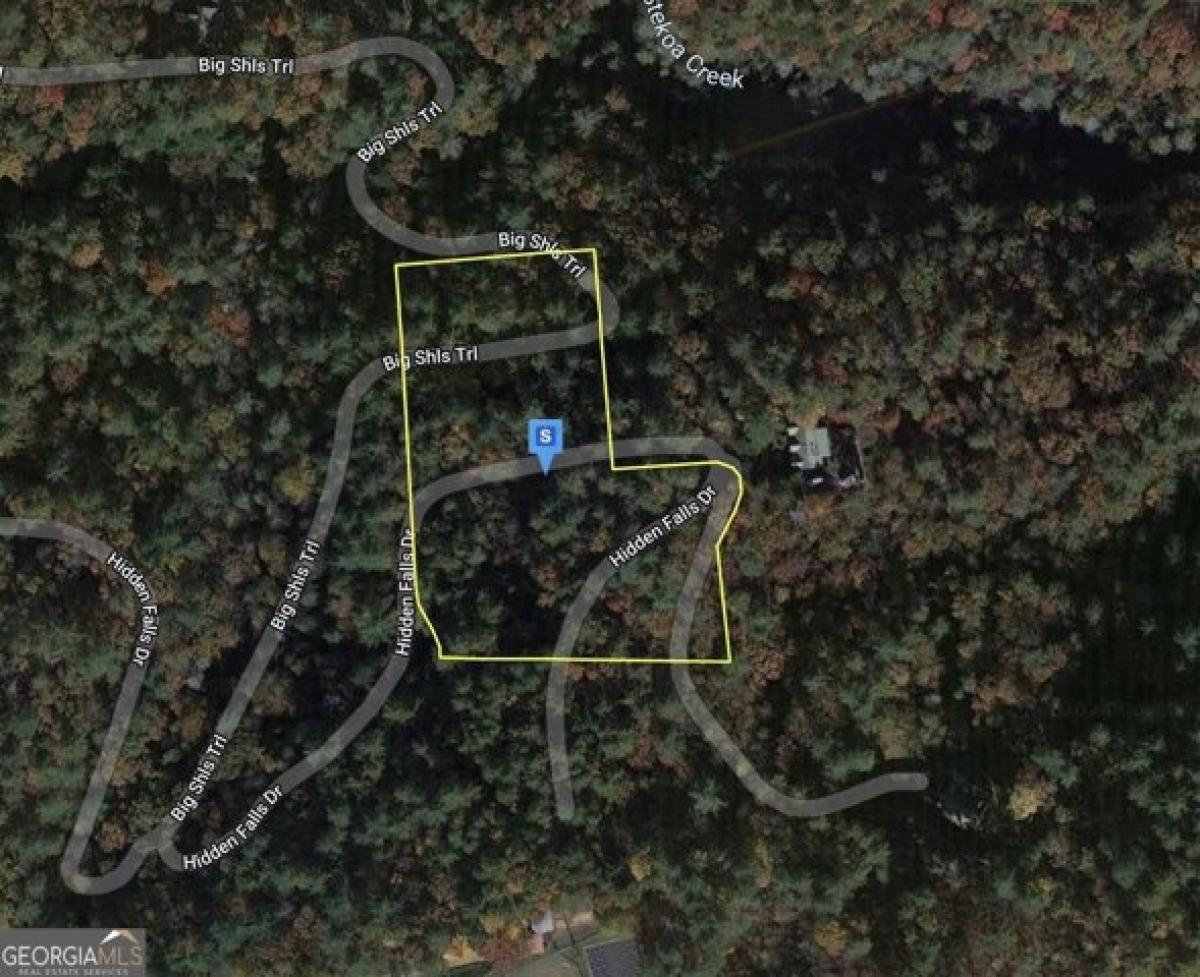 Picture of Residential Land For Sale in Tiger, Georgia, United States