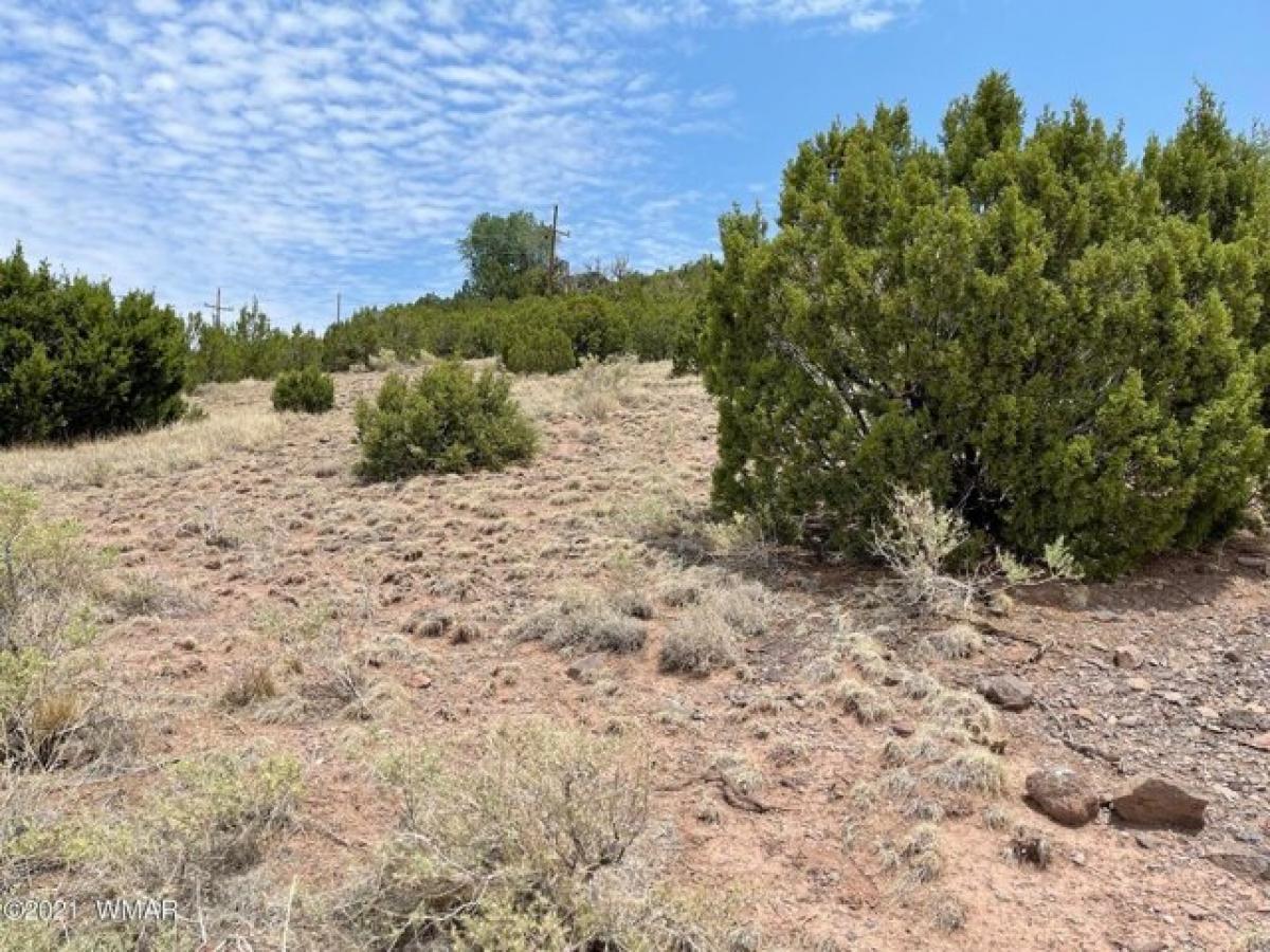 Picture of Residential Land For Sale in Eagar, Arizona, United States