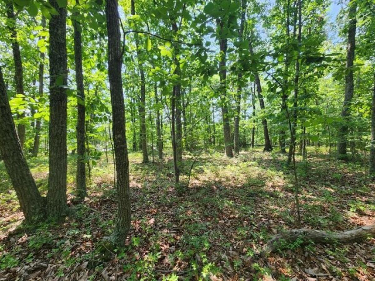 Picture of Residential Land For Sale in Pamplin, Virginia, United States