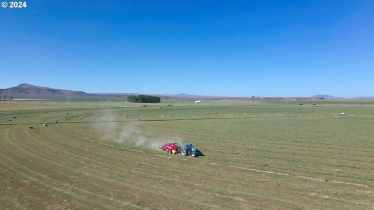 Picture of Residential Land For Sale in Christmas Valley, Oregon, United States