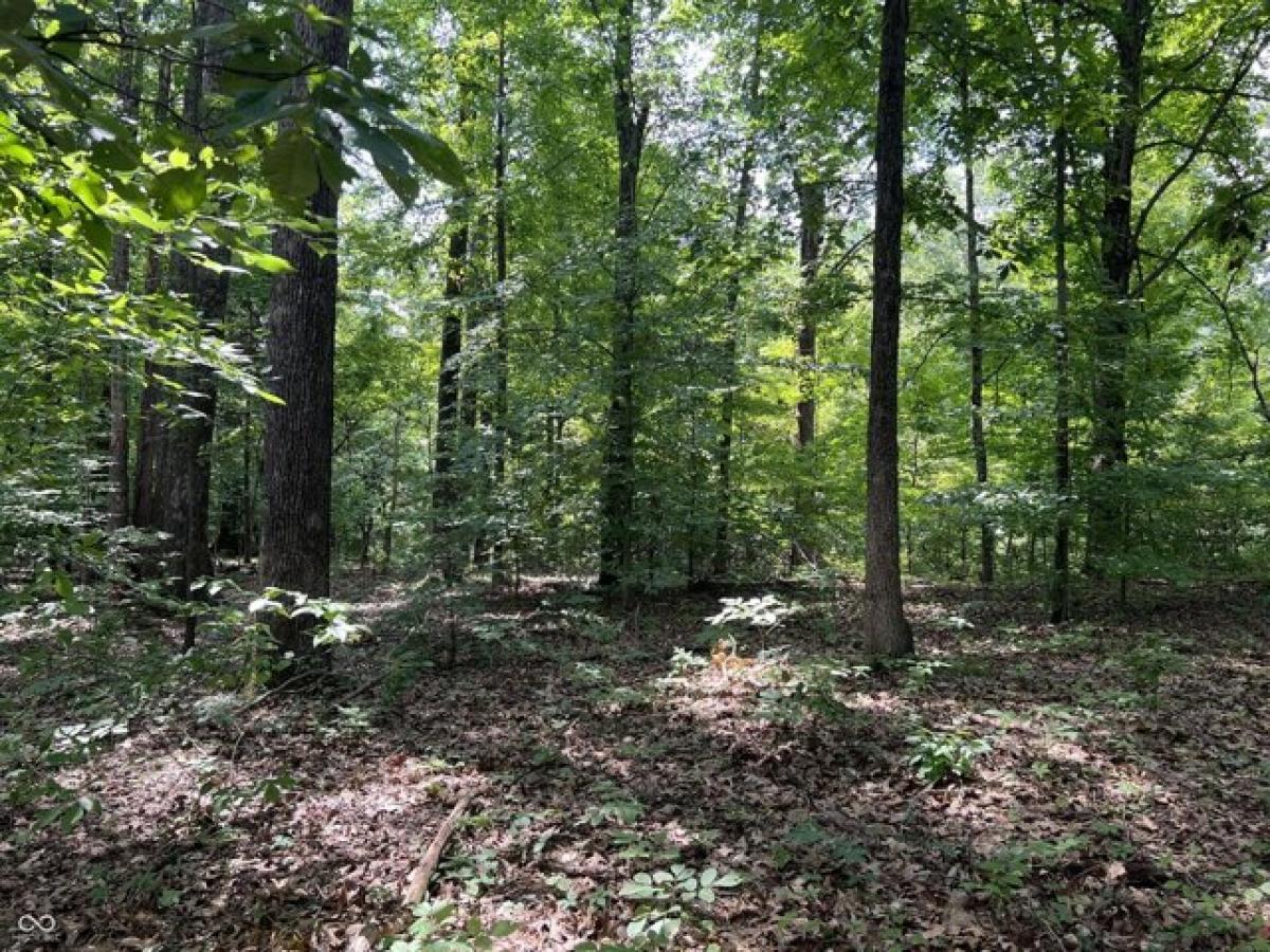 Picture of Residential Land For Sale in Bloomington, Indiana, United States