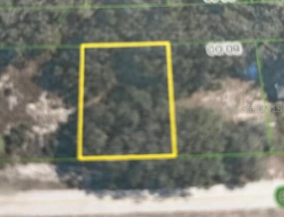 Picture of Residential Land For Sale in Avon Park, Florida, United States