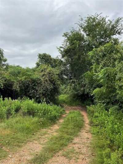 Residential Land For Sale in New Ulm, Texas