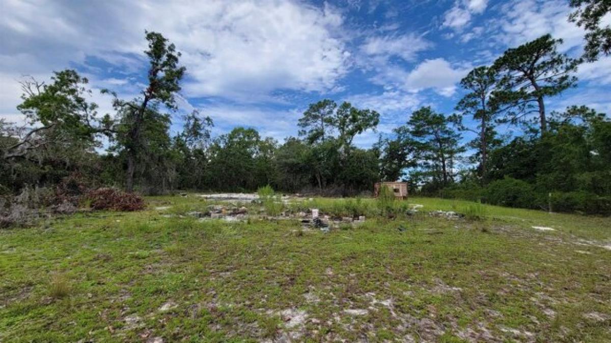 Picture of Residential Land For Sale in Perry, Florida, United States