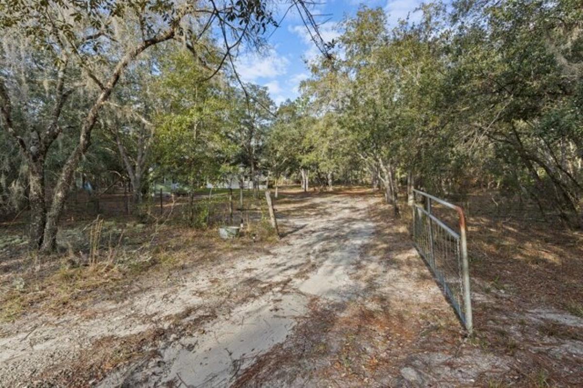 Picture of Home For Sale in Bronson, Florida, United States