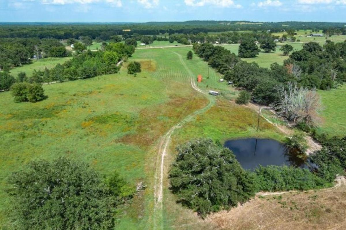 Picture of Residential Land For Sale in Ben Wheeler, Texas, United States