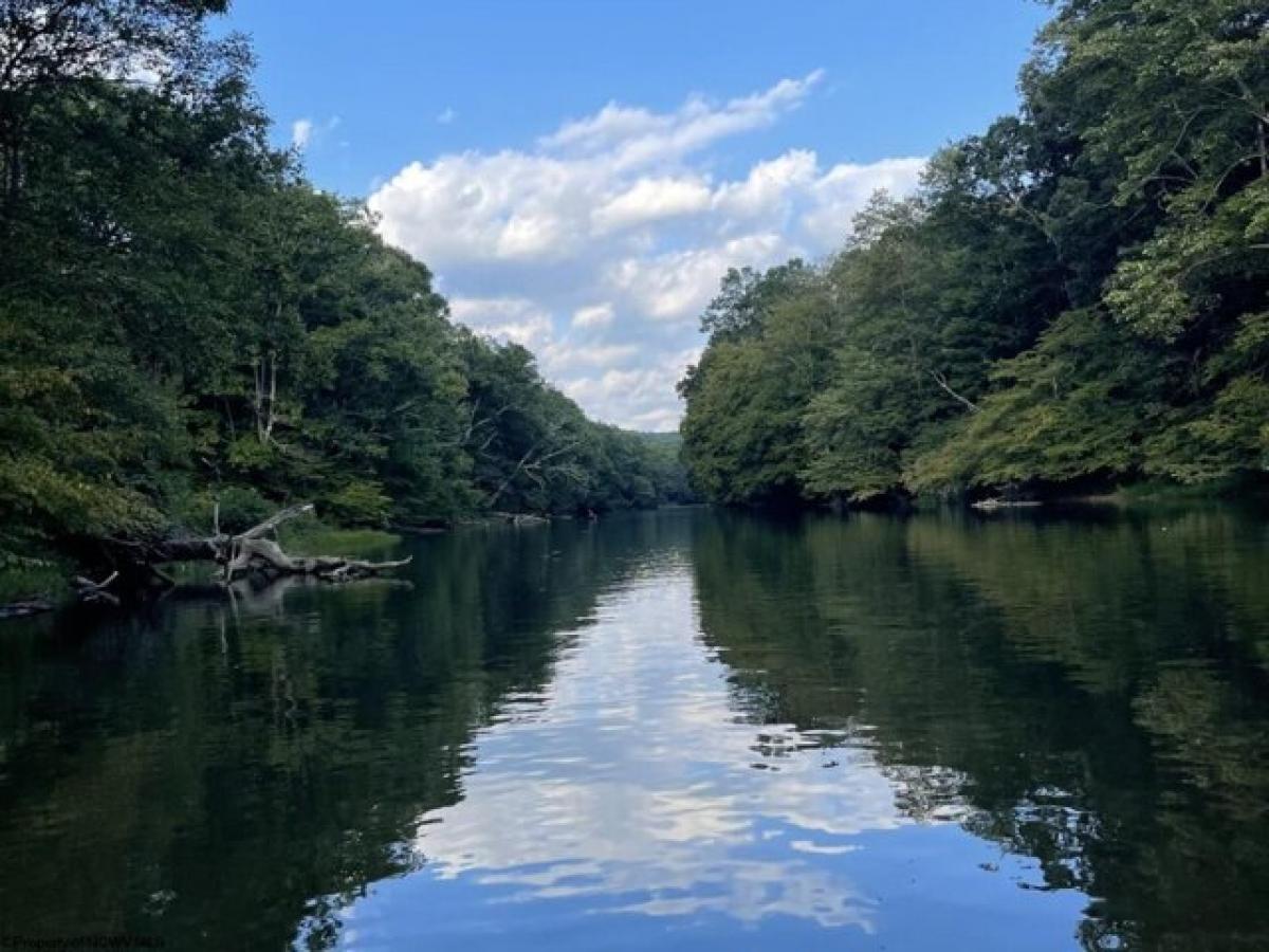 Picture of Residential Land For Sale in Bruceton Mills, West Virginia, United States