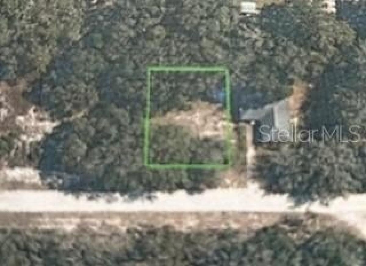 Picture of Residential Land For Sale in Avon Park, Florida, United States