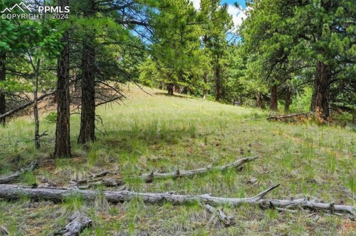 Picture of Residential Land For Sale in Florissant, Colorado, United States